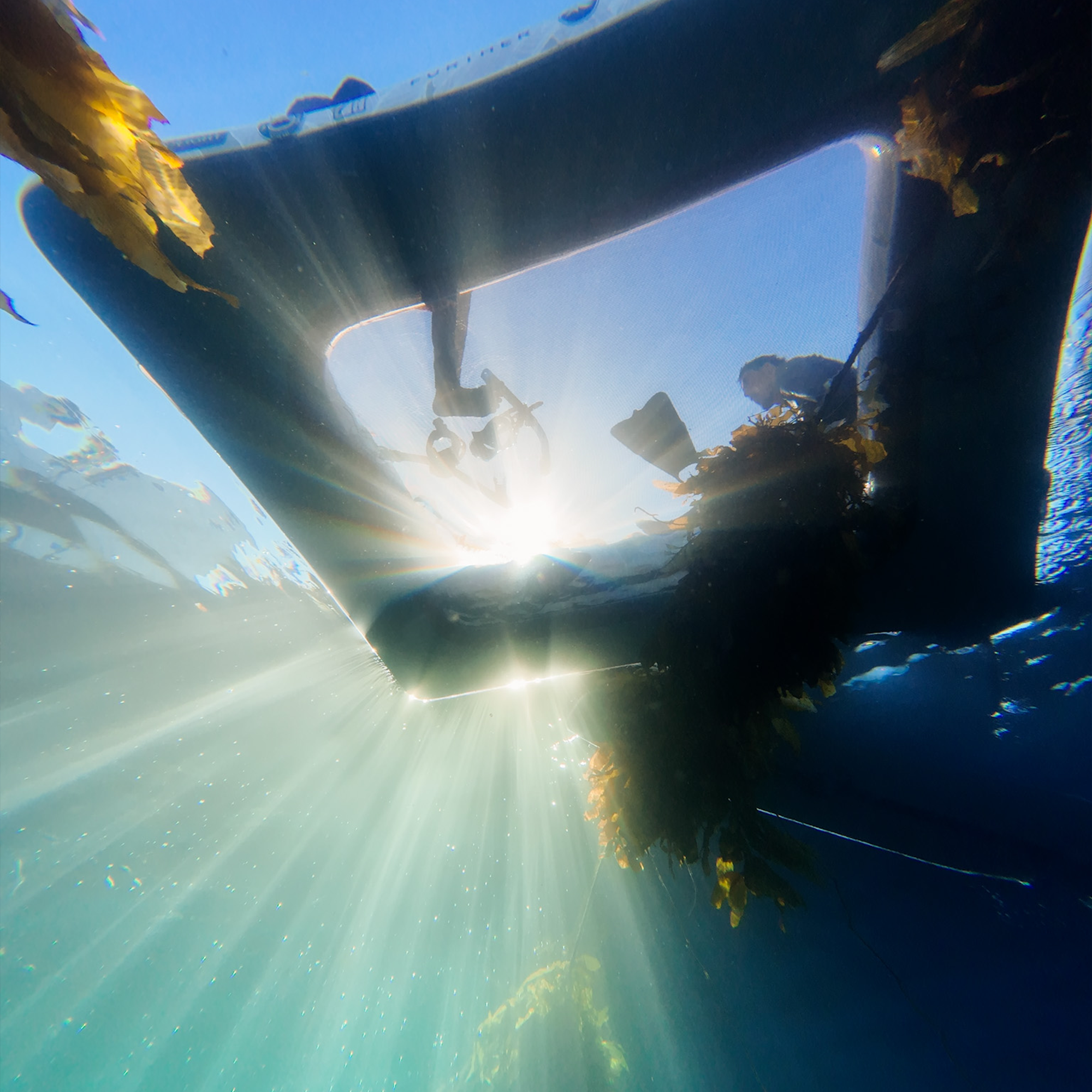 Further Customs Avalon Pad Water Hammock Floating Mesh Center Fused Diving Dock Catalina Island