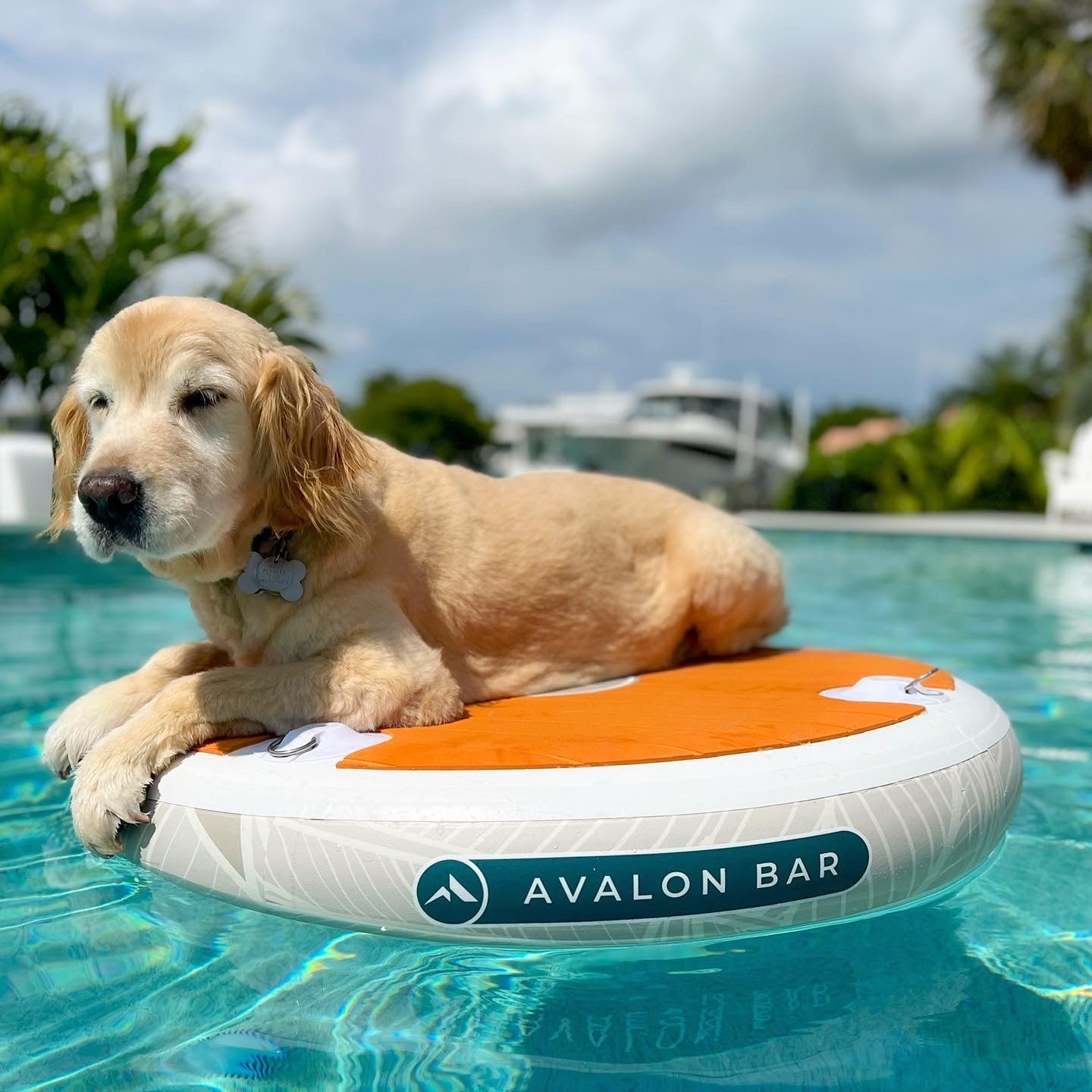 Avalon Inflatable Bar with 4 Accessory Mounts for Cup Holders