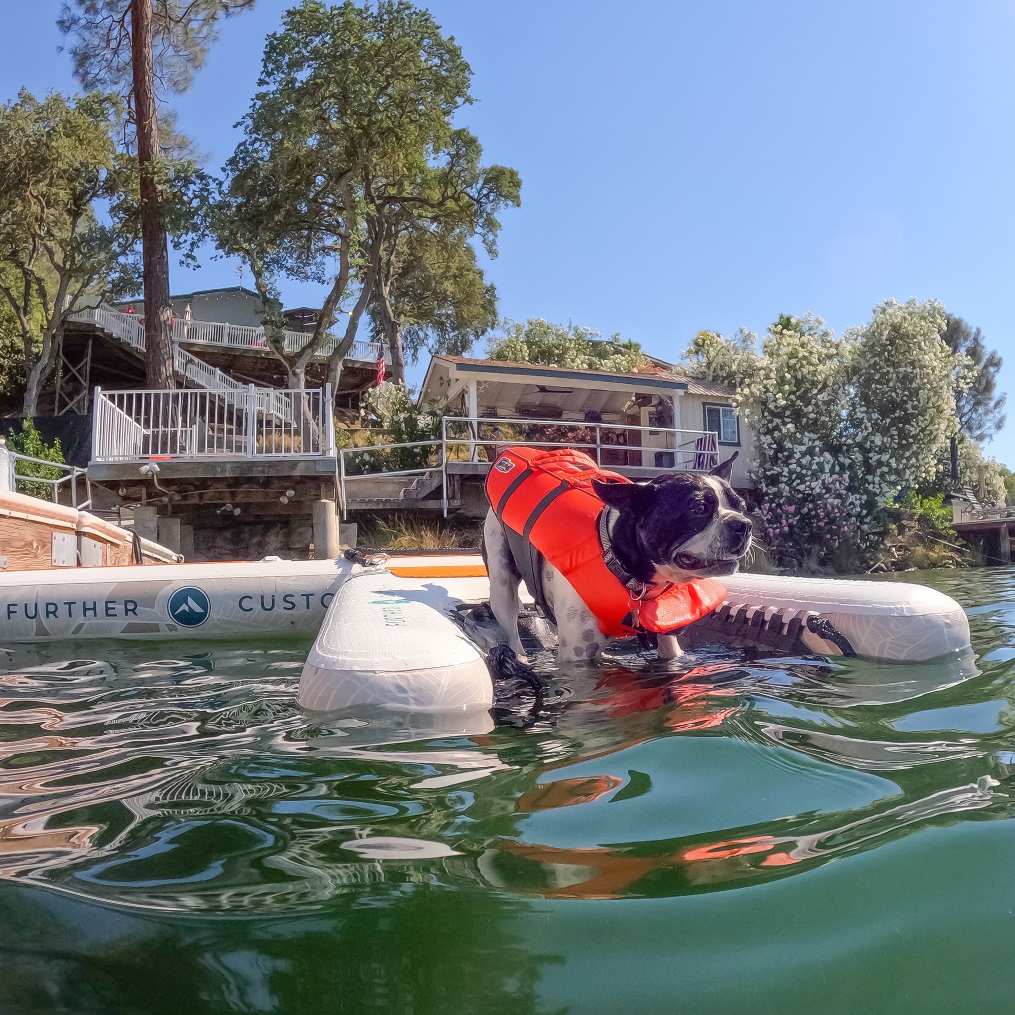 Further Customs Pup Up Inflatable Floating Dog Deck Puppy Ramp Boat Help Pet Step Ladder Lake PVC Big Large Doggy Water Float Safe